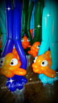 Nemo